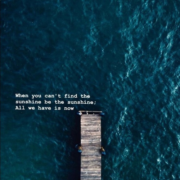 Meet your Posher, Noris - Picture 3 of 4